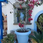 佩拉吉亚海滩一室公寓酒店 招待所 Agia Pelagia (Kythira)