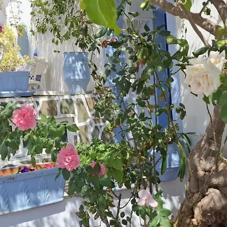佩拉吉亚海滩一室公寓酒店 Agia Pelagia (Kythira)