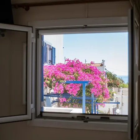 Pelagia 4*