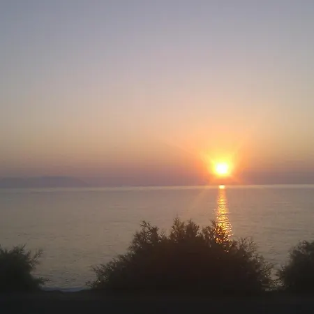 Pelagia 4*
